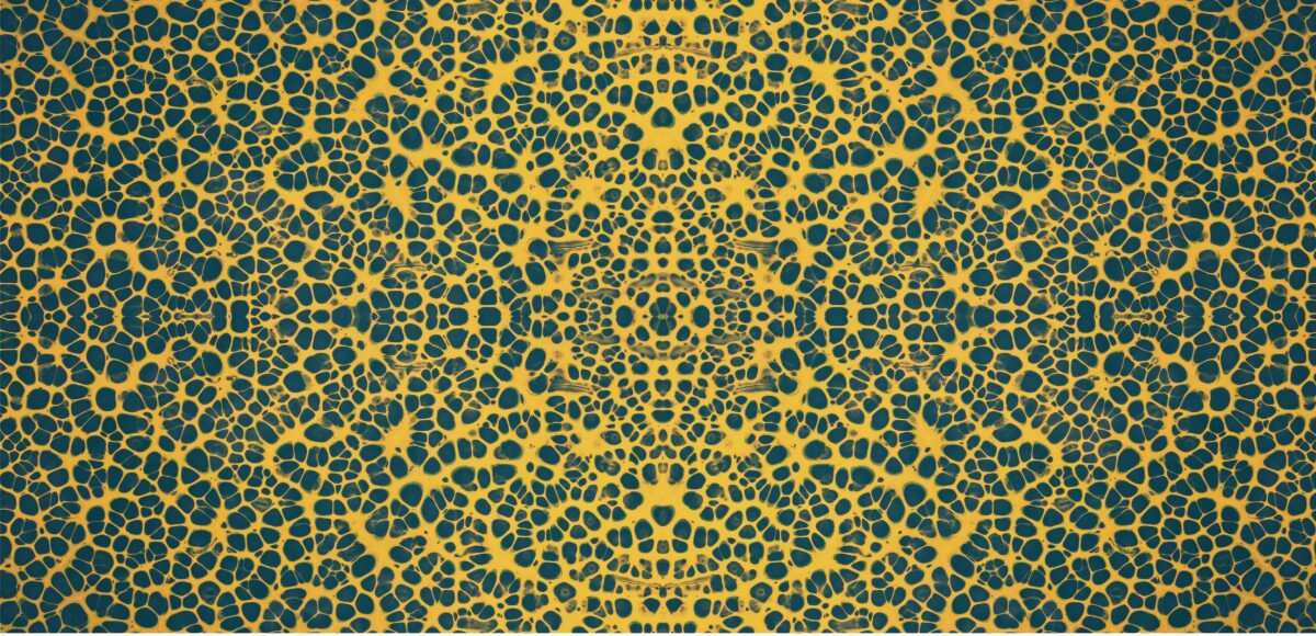 Turing Patterns that will make you Better understand the universe