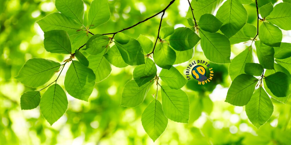 Swedish Death Cleaning, What You See is the Focus on My Intention